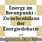 Energy im Brennpunkt : Zwischenbilanz der Energiedebatte [E-Book] /