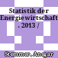 Statistik der Energiewirtschaft . 2013 /