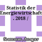 Statistik der Energiewirtschaft . 2018 /