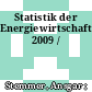 Statistik der Energiewirtschaft 2009 /