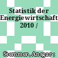 Statistik der Energiewirtschaft 2010 /