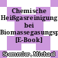 Chemische Heißgasreinigung bei Biomassegasungsprozessen [E-Book] /
