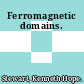 Ferromagnetic domains.