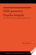 Multi-parameter singular integrals [E-Book] /