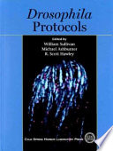 Drosophila protocols /