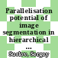 Parallelisation potential of image segmentation in hierarchical island structures on hardware-accelerated platforms in real-time applications [E-Book] /