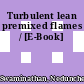 Turbulent lean premixed flames / [E-Book]