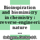 Bioinspiration and biomimicry in chemistry : reverse-engineering nature [E-Book] /
