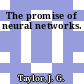 The promise of neural networks.