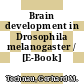 Brain development in Drosophila melanogaster / [E-Book]