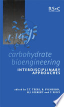 Carbohydrate bioengineering : interdisciplinary approaches  / [E-Book]