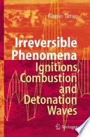 Irreversible Phenomena [E-Book] : Ignitions, Combustion and Detonation Waves /