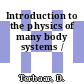 Introduction to the physics of many body systems /