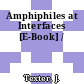 Amphiphiles at Interfaces [E-Book] /