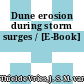Dune erosion during storm surges / [E-Book]