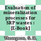 Evaluation of mineralization processes for SRP wastes : [E-Book]