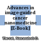 Advances in image-guided cancer nanomedicine [E-Book] /
