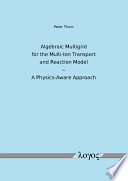 Algebraic multigrid for the multi-ion transport and reaction model : a physics-aware approach [E-Book] /