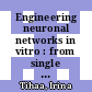 Engineering neuronal networks in vitro : from single cells to population connectivity [E-Book] /