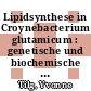 Lipidsynthese in Croynebacterium glutamicum : genetische und biochemische Untersuchungen zu Acyl-CoA Carboxylasen [E-Book] /