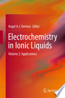 Electrochemistry in Ionic Liquids [E-Book] : Volume 2: Applications /