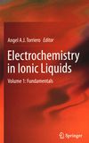 Electrochemistry in ionic liquids . 1 . Fundamentals /
