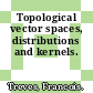 Topological vector spaces, distributions and kernels.