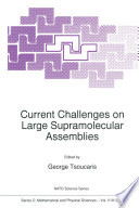 Current Challenges on Large Supramolecular Assemblies [E-Book] /