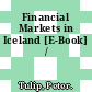 Financial Markets in Iceland [E-Book] /
