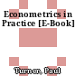 Econometrics in Practice [E-Book]