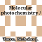 Molecular photochemistry /