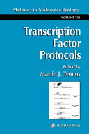 Transcription factor protocols /
