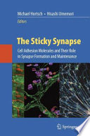 The Sticky Synapse [E-Book] : Cell Adhesion Molecules and Their Role in Synapse Formation and Maintenance /