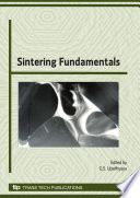 Sintering fundamentals : special topic volume, invited papers only [E-Book] /