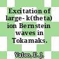 Excitation of large- k(theta) ion Bernstein waves in Tokamaks.