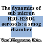 The dynamics of sub micron H2O-H2SO4 aerosols: a smog chamber study.
