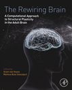 The rewiring brain : a computational approach to structural plasticity in the adult brain [E-Book] /