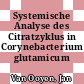 Systemische Analyse des Citratzyklus in Corynebacterium glutamicum /