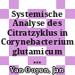 Systemische Analyse des Citratzyklus in Corynebacterium glutamicum [E-Book] /