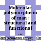 Molecular polymorphism of man : structural and functional individual multiformity of biomacromolecules [E-Book] /