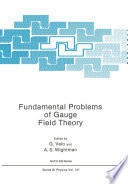 Fundamental Problems of Gauge Field Theory [E-Book] /