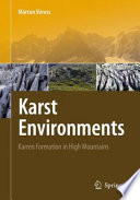 Karst Environments [E-Book] : Karren Formation in High Mountains /