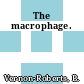 The macrophage.