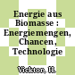 Energie aus Biomasse : Energiemengen, Chancen, Technologie /