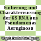 Isolierung und Charakterisierung der 6S RNA aus Pseudomonas Aeruginosa /