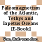 Paleomagnetism of the Atlantic, Tethys and Iapetus Oceans [E-Book] /