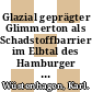 Glazial geprägter Glimmerton als Schadstoffbarriere im Elbtal des Hamburger Raumes /