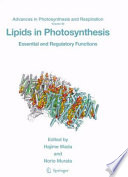 Lipids in photosynthesis : essential and regulatory functions /
