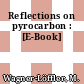 Reflections on pyrocarbon : [E-Book]