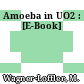 Amoeba in UO2 : [E-Book]